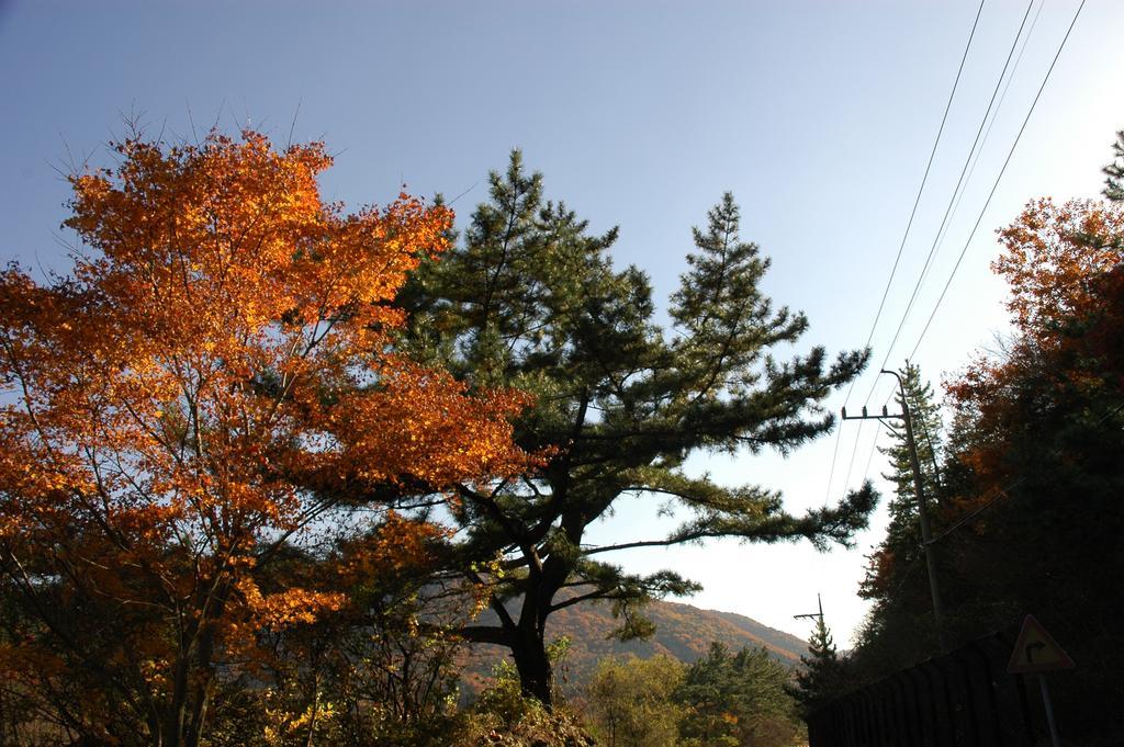 Namhae Neuhaus Hotel Exterior photo